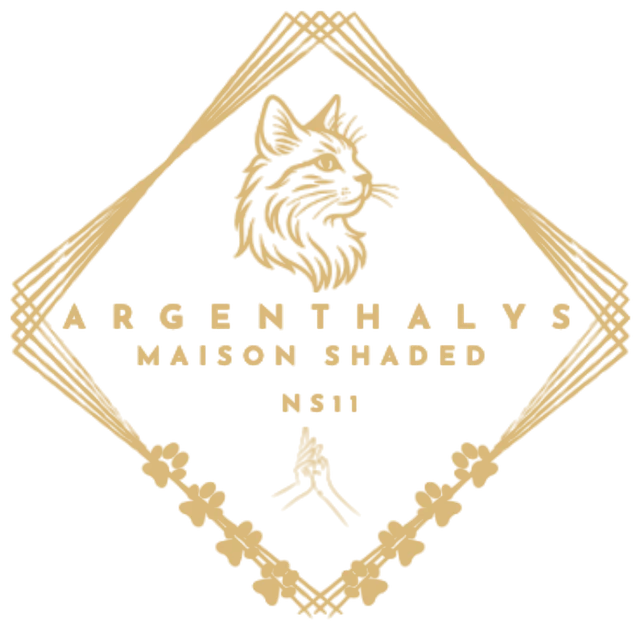 Logo Argenthalys, Maison shaded, NS11